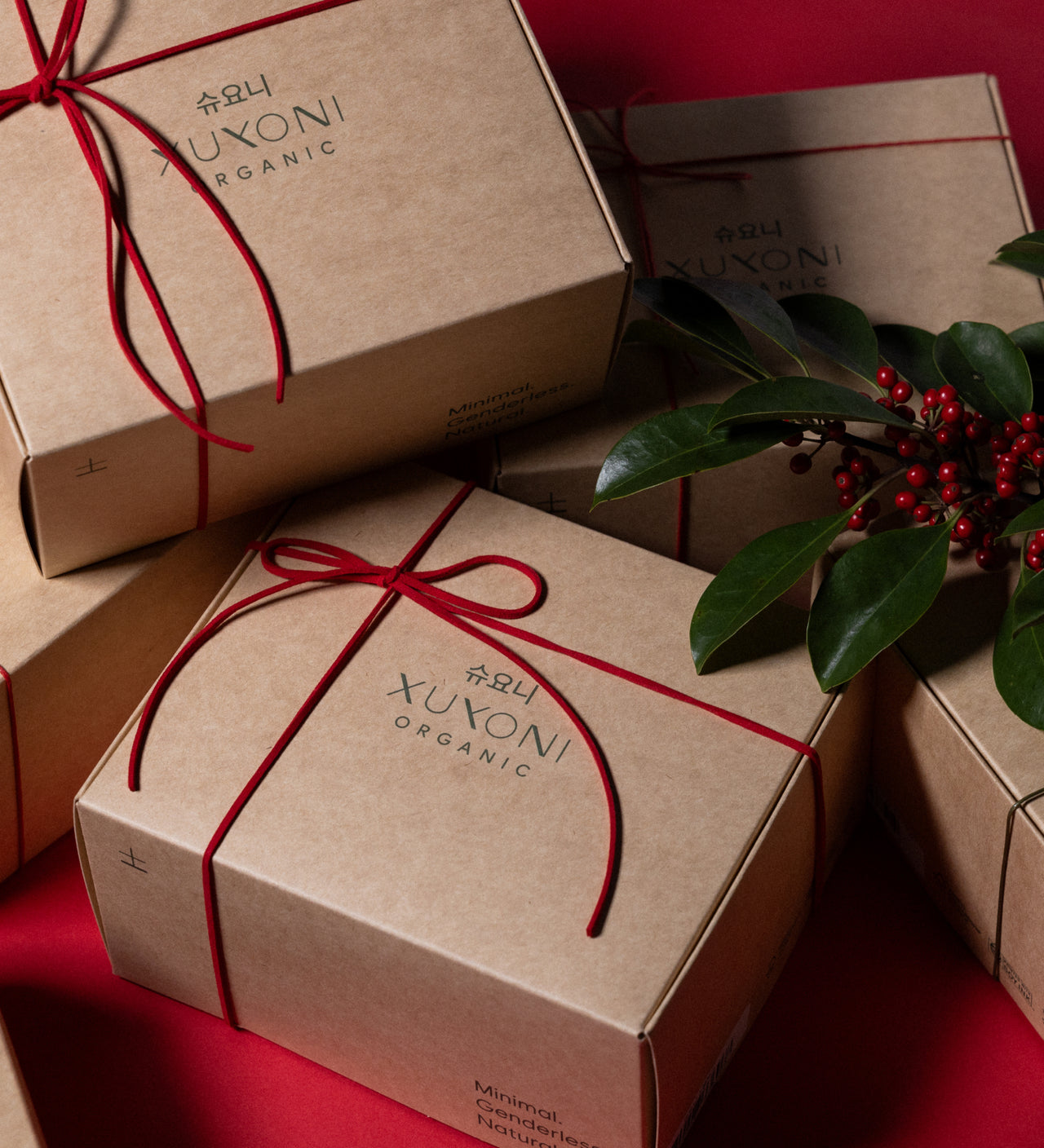 Xuyoni Christmas & holiday Eco-Friendly gift set : Limited Edition